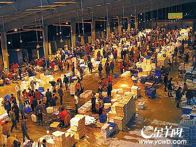 芳村花鳥魚市開業(yè)了嗎今天：芳村花鳥魚蟲市場已經完成搬遷 廣州水族批發(fā)市場 第1張