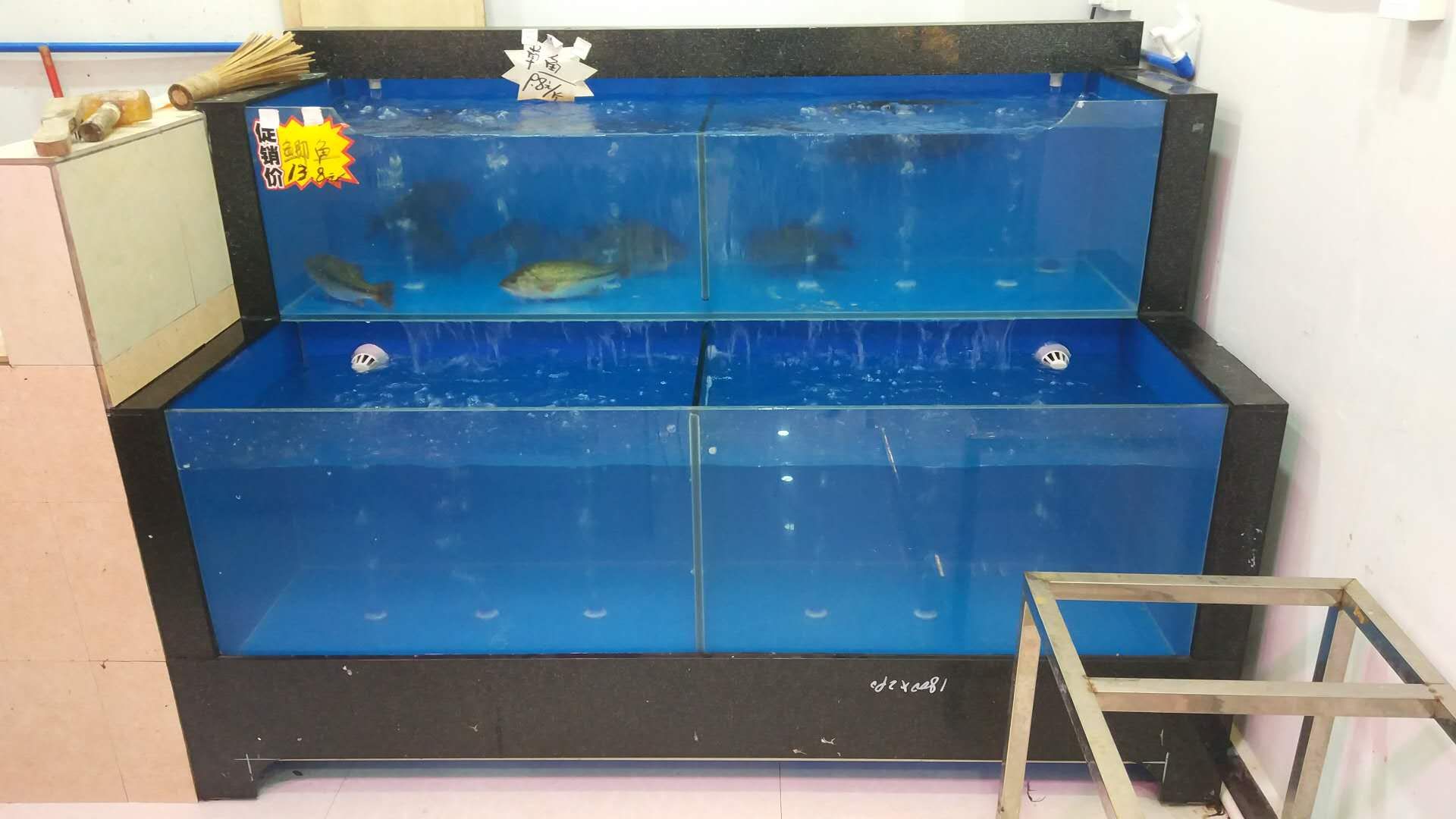 廣州買魚缸去哪里好點呢：如果您想在廣州買魚缸，以下幾個地方會對您有所幫助 廣州水族批發(fā)市場 第1張