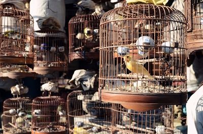 廣州花地灣水族批發(fā)市場搬遷了嗎今年：廣州花地灣水族批發(fā)市場搬遷 廣州水族批發(fā)市場 第4張