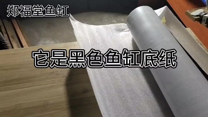 家里放黑色魚缸好不好呢 魚缸風(fēng)水 第1張