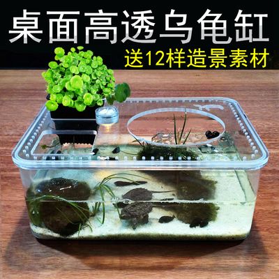 花盆做魚缸視頻：如何將花盆變成魚缸 魚缸風(fēng)水 第2張