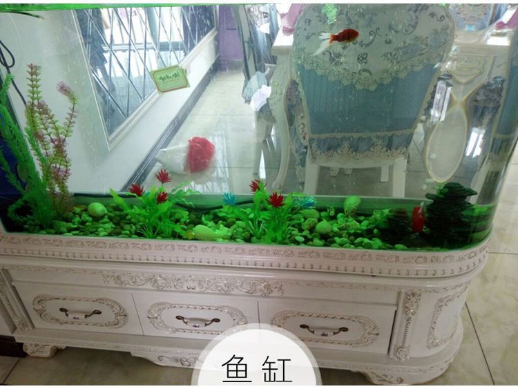 花盆做魚缸視頻：如何將花盆變成魚缸 魚缸風(fēng)水 第3張