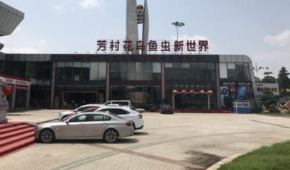 廣州百藝城花鳥市場好停車嗎收費嗎多少錢：廣州百藝城花鳥市場免費停車服務(wù) 廣州水族批發(fā)市場 第3張