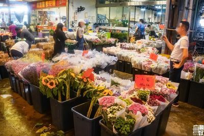 芳村花卉市場幾點開市