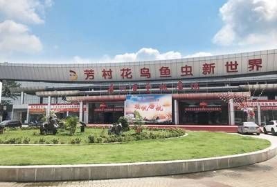 廣州百藝城屬于什么街道：【廣州百藝城】廣州百藝城地址詳情 廣州水族批發(fā)市場 第4張