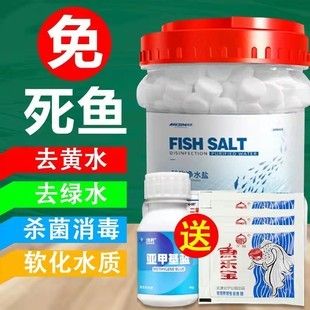 觀賞魚專用魚鹽是什么牌子：知名觀賞魚專用魚鹽品牌yee品牌yee品牌魚鹽詳解 魚缸風(fēng)水 第1張