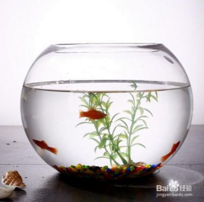 超白魚缸劃痕怎么處理好：處理超白魚缸劃痕的幾種方法 魚缸百科 第2張