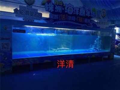 廣州大型魚缸定做店在哪里找：廣州大型魚缸定做店可以從下幾個途徑獲取更多信息 廣州水族批發(fā)市場 第4張