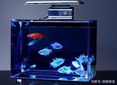 大自然魚(yú)缸是品牌的嗎怎么樣：奇溢自然魚(yú)缸、屏風(fēng)魚(yú)缸、屏風(fēng)魚(yú)缸、屏風(fēng)魚(yú)缸、屏風(fēng)魚(yú)缸 魚(yú)缸百科 第2張