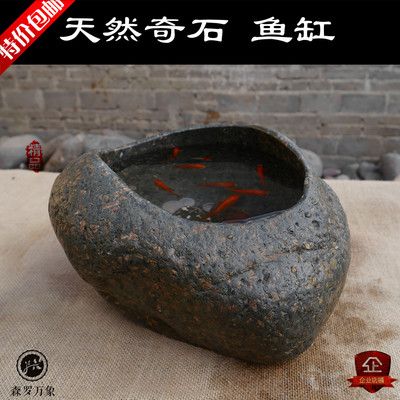 花盆能放魚缸里嗎風(fēng)水好嗎：花盆可以放在魚缸里嗎？