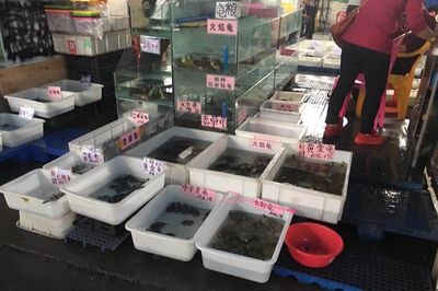 廣州芳村百藝花鳥魚蟲市場：廣州芳村百藝花鳥魚蟲市場游記 廣州水族批發(fā)市場 第4張