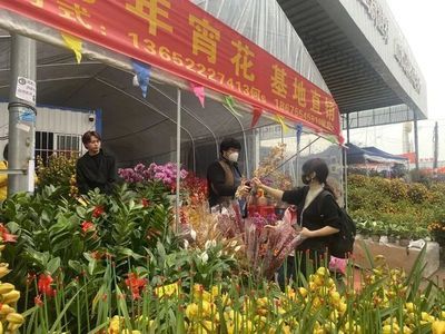 百藝城花鳥魚蟲新世界過年放假嗎：百藝城花鳥魚蟲新世界在春節(jié)期間不會(huì)放假嗎？