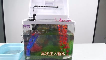 家里的魚缸怎么處理：家里的魚缸如何清洗，如何保養(yǎng)？