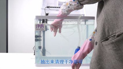 家里的魚缸怎么處理：家里的魚缸如何清洗，如何保養(yǎng)？