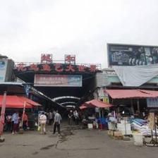 廣州芳村鳥魚市場在哪個地鐵站出站：22篇廣州芳村鳥魚市場交通指南廣州芳村鳥魚市場交通指南 廣州水族批發(fā)市場 第4張