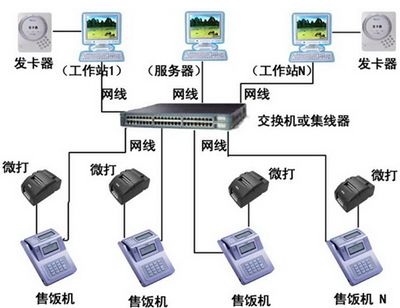 百藝城廣場新花鳥魚蟲市場C265檔口