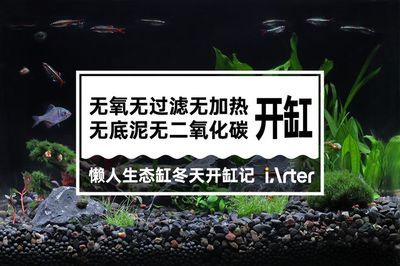 家里的魚缸能讓太陽曬嗎：熱帶魚缸如何曬太陽