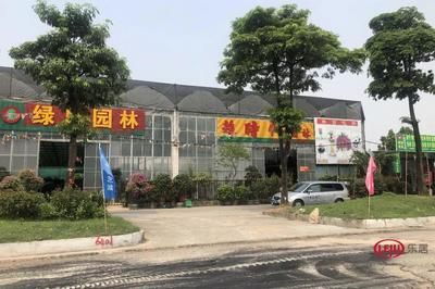 芳村花鳥魚蟲新世界屬于什么街道：廣州芳村花鳥魚蟲新世界 廣州水族批發(fā)市場(chǎng) 第4張