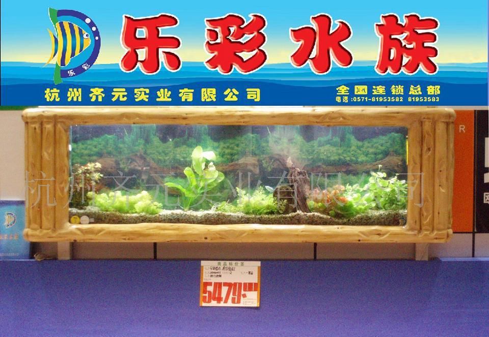 廣州水族器材市場(chǎng)在哪里：2022廣州水族器材市場(chǎng)最新動(dòng)態(tài) 廣州水族批發(fā)市場(chǎng) 第4張