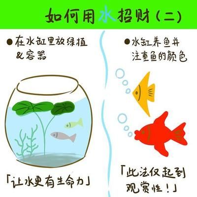 家里放兩個魚缸好不好呢：家里放兩個魚缸好不好？ 魚缸風水 第4張