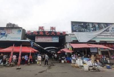 廣州芳村鳥魚市場在哪個地鐵站出：廣州芳村鳥魚市場交通指南 廣州水族批發(fā)市場 第4張