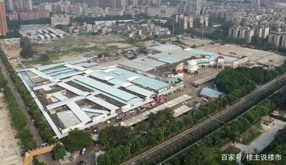 廣州芳村花鳥市場在哪：廣州芳村花鳥市場 廣州水族批發(fā)市場 第1張