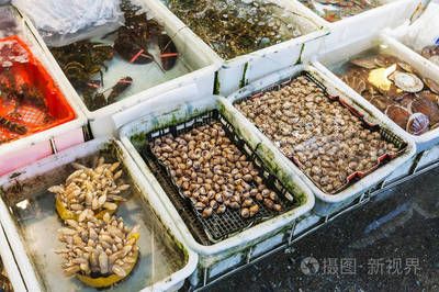 廣州虎魚市場：廣州芳村花地灣越和花鳥魚蟲批發(fā)市場