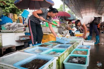 廣州虎魚市場：廣州芳村花地灣越和花鳥魚蟲批發(fā)市場