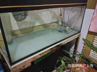 成品魚缸哪個品牌性價比高