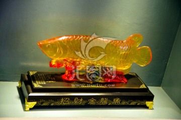 金龍魚(yú)用什么燈照好看：金龍魚(yú)用什么燈照好看金龍魚(yú)用什么燈照好看 龍魚(yú)百科 第3張