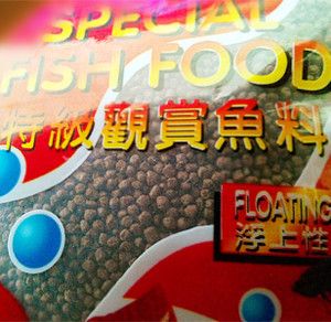 觀賞魚和魚食去什么地方批發(fā)：如何選擇觀賞魚批發(fā)市場(chǎng) 廣州水族批發(fā)市場(chǎng) 第4張