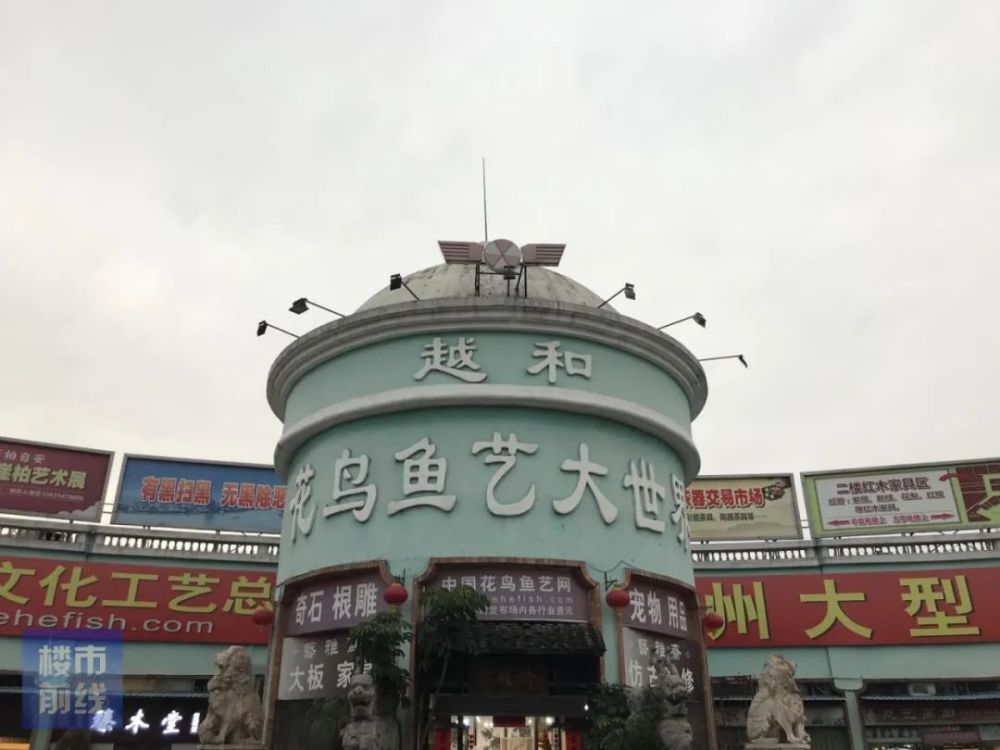 廣州芳村觀賞魚市場：廣州芳村觀賞魚市場在哪里 廣州水族批發(fā)市場 第1張