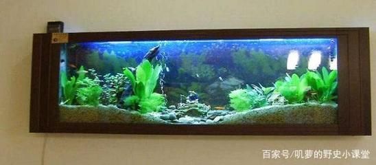 家里的魚缸放在什么位置最佳風(fēng)水好：家里魚缸最佳風(fēng)水位置