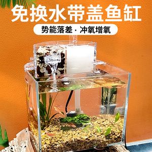 淡水魚缸造景圖案：淡水魚缸造景圖案素材淡水魚缸造景圖案的一些基本信息 魚缸風(fēng)水 第2張