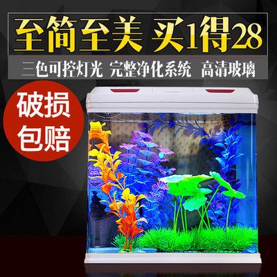 淡水魚缸造景圖案：淡水魚缸造景圖案素材淡水魚缸造景圖案的一些基本信息 魚缸風(fēng)水 第3張