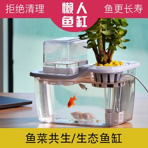 斗魚魚缸裝飾圖：斗魚魚缸裝飾實物圖 魚缸百科 第1張