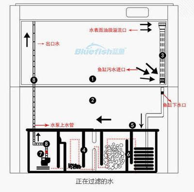 側(cè)面魚缸水泵在哪里放