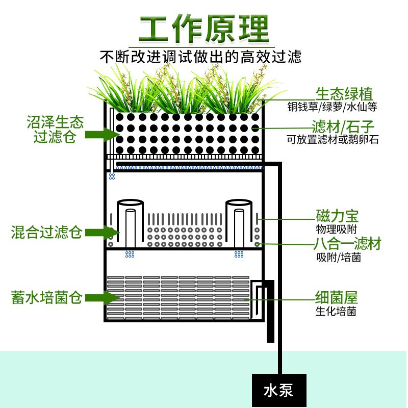 不花錢的魚缸濾材：魚缸濾材的種類及牌子推薦 魚缸百科 第1張