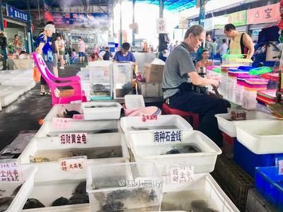 廣州芳村花鳥魚蟲市場(chǎng)新址位置圖：廣州芳村花鳥魚蟲市場(chǎng)新址在哪 廣州水族批發(fā)市場(chǎng) 第4張