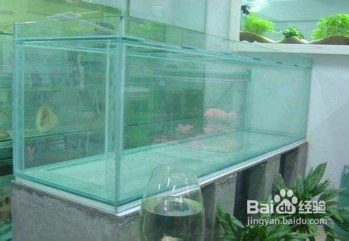 瓷魚缸漏水怎么修補好：瓷魚缸漏水修補方法 魚缸百科 第4張