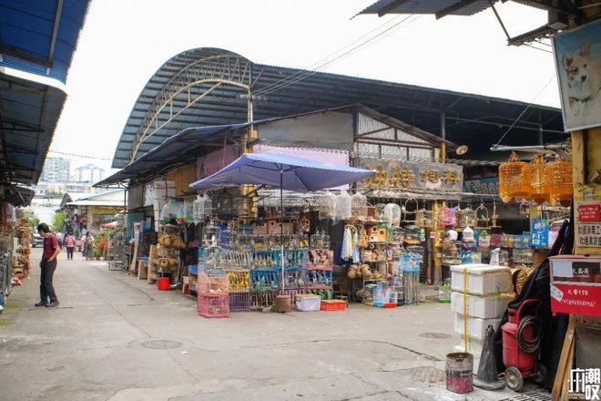 芳村花鳥魚蟲市場屬于哪個街道辦事處：芳村花鳥魚蟲市場屬于廣州市荔灣區(qū)嗎 廣州水族批發(fā)市場 第4張