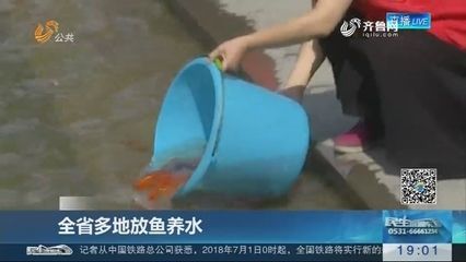 放魚養(yǎng)水視頻：關(guān)于放魚養(yǎng)水的相關(guān)視頻