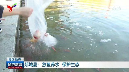 放魚養(yǎng)水視頻：關(guān)于放魚養(yǎng)水的相關(guān)視頻 魚缸風(fēng)水 第3張