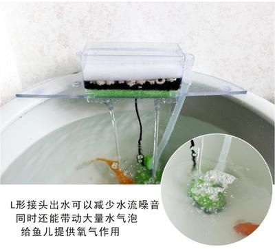 瓷盆魚(yú)缸過(guò)濾器：如何選擇瓷盆魚(yú)缸過(guò)濾器 魚(yú)缸百科 第3張