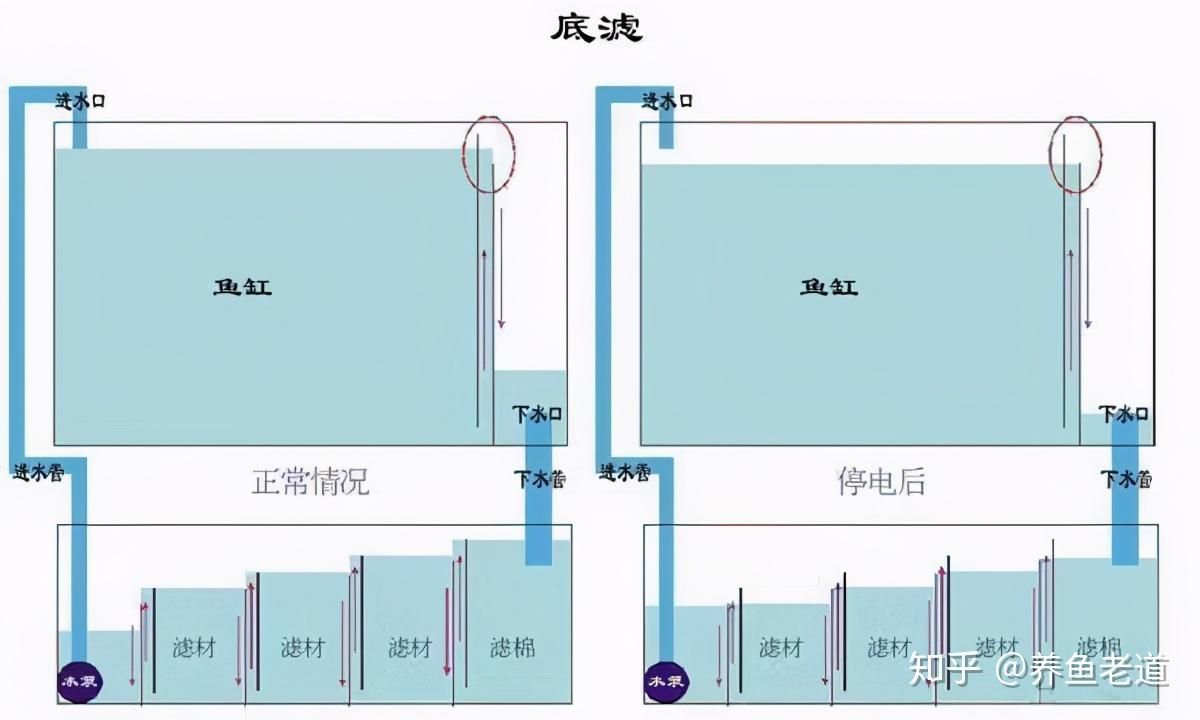 底濾魚(yú)缸哪種溢流方式好用