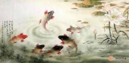 白色錦鯉魚什么寓意：白色錦鯉在中國(guó)傳統(tǒng)文化中具有特殊的意義不僅是美麗的觀賞魚