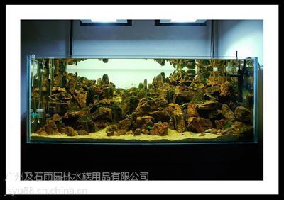 廣州魚缸造景批發(fā)市場在哪里啊多少錢一套：廣州魚缸造景批發(fā)市場 廣州水族批發(fā)市場 第1張