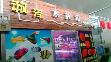 廣州水族館觀賞魚批發(fā)市場在哪：廣州水族館觀賞魚批發(fā)市場 廣州水族批發(fā)市場 第1張