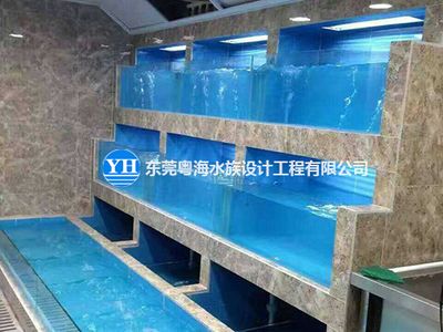 定做海鮮池魚缸廠家：海洋生態(tài)保護海洋生態(tài)保護的重要性海洋生態(tài)保護的重要性