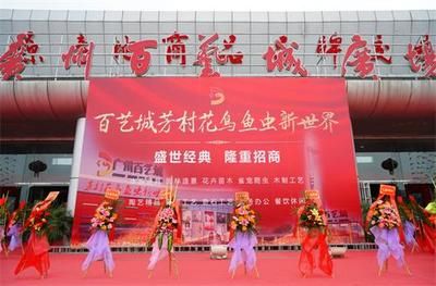 廣州百藝城花鳥市場在哪里?。簭V州百藝城花鳥市場 廣州水族批發(fā)市場 第1張